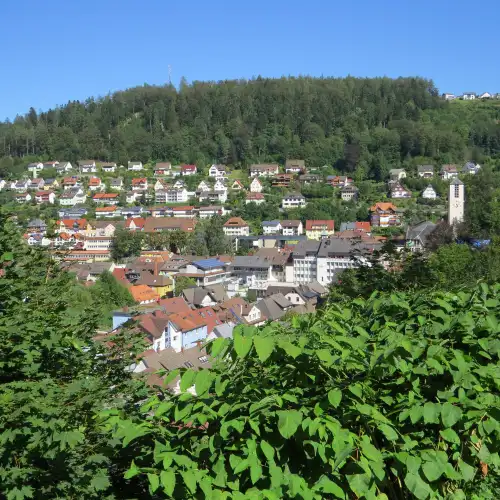 Triberg picture